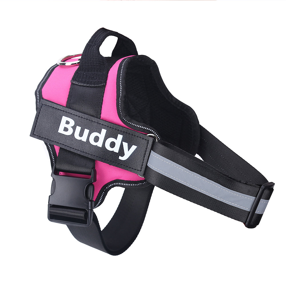 Personalized Dog Harness NO PULL