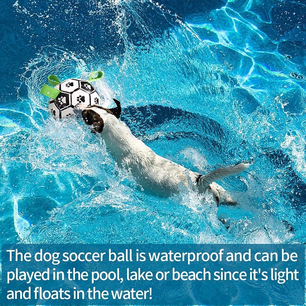 Interactive Dog Football Soccer Ball